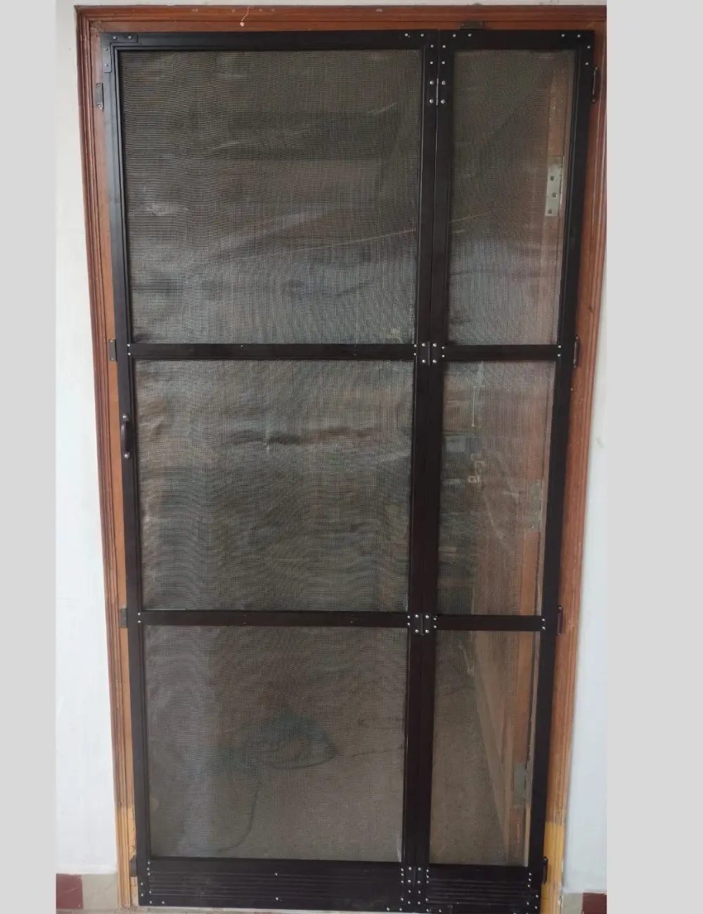 Folding Door